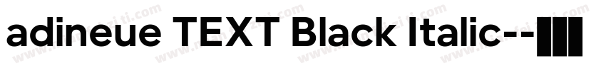 adineue TEXT Black Italic-字体转换
